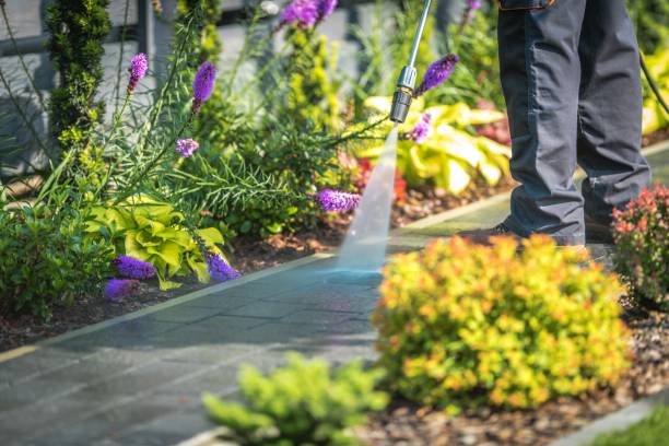 Best Deck and Patio Pressure Washing in Lone Pine, CA